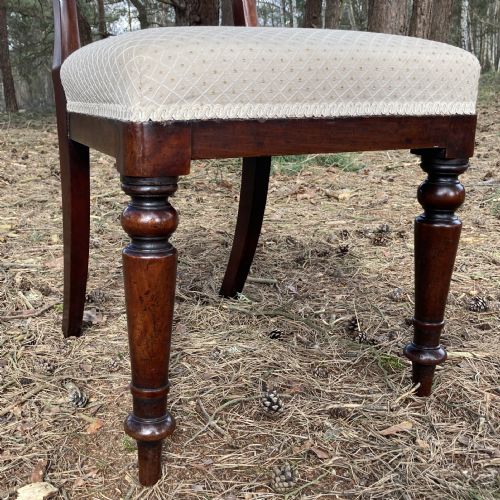 SET OF 6 MAHOGANY WILLIAM IV DINING CHAIRS CIRCA 1840 - ADDITIONAL PHOTO 6