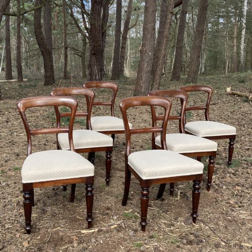 SET OF 6 MAHOGANY WILLIAM IV DINING CHAIRS CIRCA 1840 - ADDITIONAL PHOTO 7