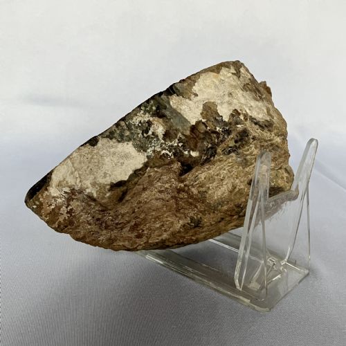 A SMALL FOSSILISED OR PETRIFIED WOOD SPECIMEN POLISHED AND MOUNTED ON A PERSPEX STAND CIRCA 120 240 MILLION YEARS OLD - ADDITIONAL PHOTO 2