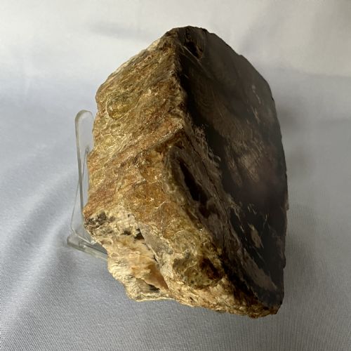 A SMALL FOSSILISED OR PETRIFIED WOOD SPECIMEN POLISHED AND MOUNTED ON A PERSPEX STAND CIRCA 120 240 MILLION YEARS OLD - ADDITIONAL PHOTO 3