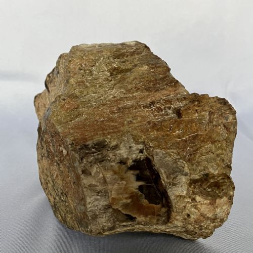 A SMALL FOSSILISED OR PETRIFIED WOOD SPECIMEN POLISHED AND MOUNTED ON A PERSPEX STAND CIRCA 120 240 MILLION YEARS OLD - ADDITIONAL PHOTO 5