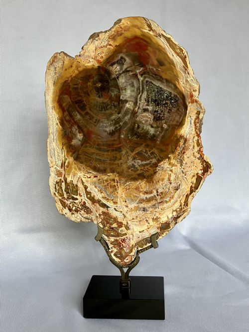 a large fossilised or petrified wood specimen polished and mounted on a bespoke stand circa 120 240 million years old - CATEGORY: ANTIQUE MISCELLANEOUS - DATED PRE 16TH CENTURY