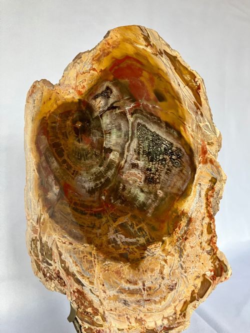 A LARGE FOSSILISED OR PETRIFIED WOOD SPECIMEN POLISHED AND MOUNTED ON A BESPOKE STAND CIRCA 120 240 MILLION YEARS OLD - ADDITIONAL PHOTO 2