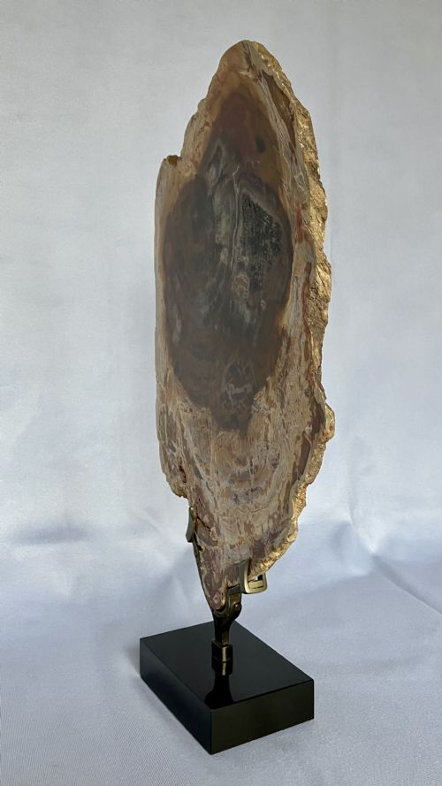 A LARGE FOSSILISED OR PETRIFIED WOOD SPECIMEN POLISHED AND MOUNTED ON A BESPOKE STAND CIRCA 120 240 MILLION YEARS OLD - ADDITIONAL PHOTO 5