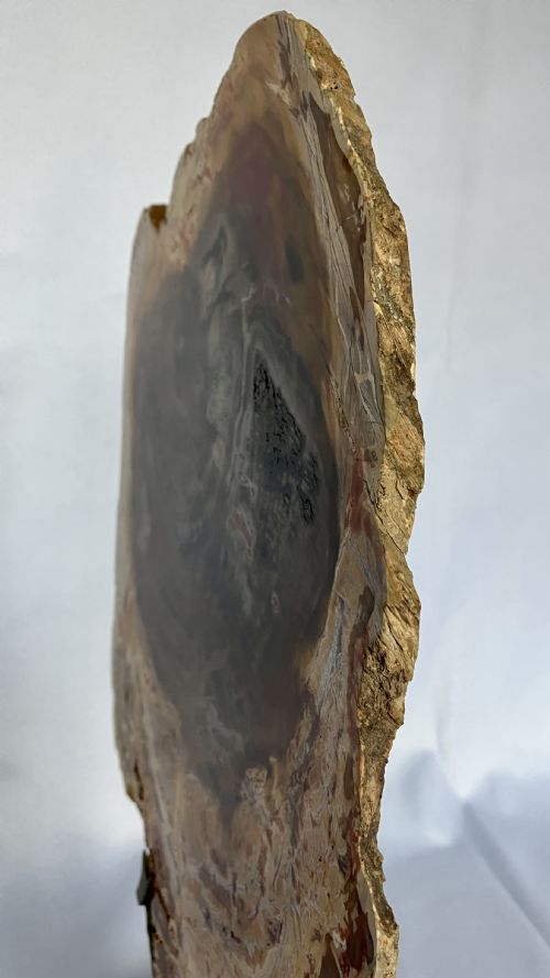 A LARGE FOSSILISED OR PETRIFIED WOOD SPECIMEN POLISHED AND MOUNTED ON A BESPOKE STAND CIRCA 120 240 MILLION YEARS OLD - ADDITIONAL PHOTO 6
