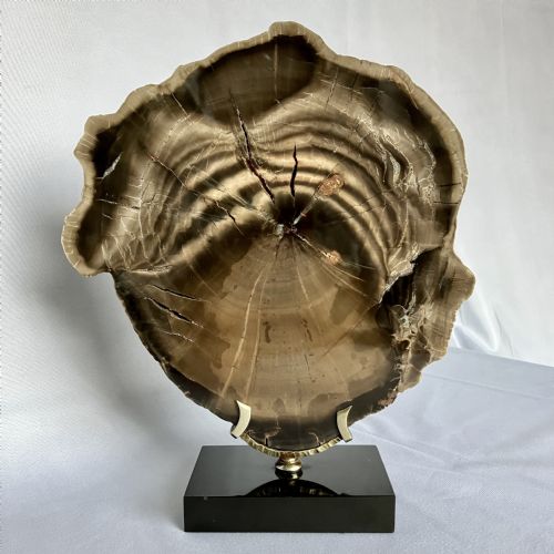 A LARGE FOSSILISED OR PETRIFIED WOOD SPECIMEN POLISHED AND MOUNTED ON A BESPOKE STAND CIRCA 120 240 MILLION YEARS OLD