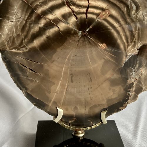 A LARGE FOSSILISED OR PETRIFIED WOOD SPECIMEN POLISHED AND MOUNTED ON A BESPOKE STAND CIRCA 120 240 MILLION YEARS OLD - ADDITIONAL PHOTO 4