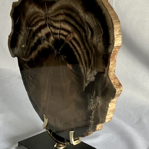 A LARGE FOSSILISED OR PETRIFIED WOOD SPECIMEN POLISHED AND MOUNTED ON A BESPOKE STAND CIRCA 120 240 MILLION YEARS OLD - ADDITIONAL PHOTO 5