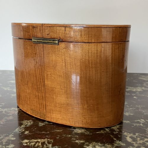 GEORGE III OVAL TEA CADDY CIRCA 1790 - ADDITIONAL PHOTO 5