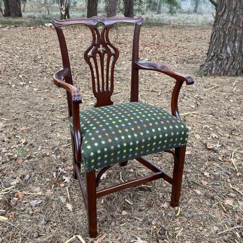 PAIR OF MAHOGANY OPEN ARMCHAIRS CARVERS CIRCA 1830 - ADDITIONAL PHOTO 1