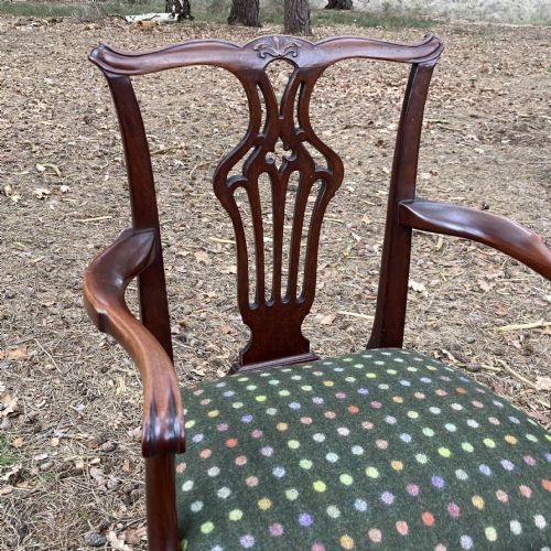PAIR OF MAHOGANY OPEN ARMCHAIRS CARVERS CIRCA 1830 - ADDITIONAL PHOTO 2