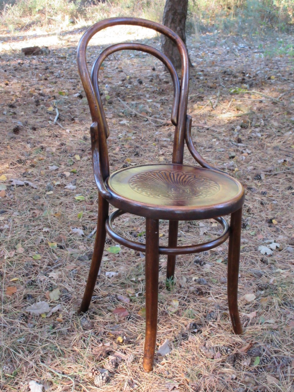 Set of Four Bentwood Chairs by Fischel, Circa 1910