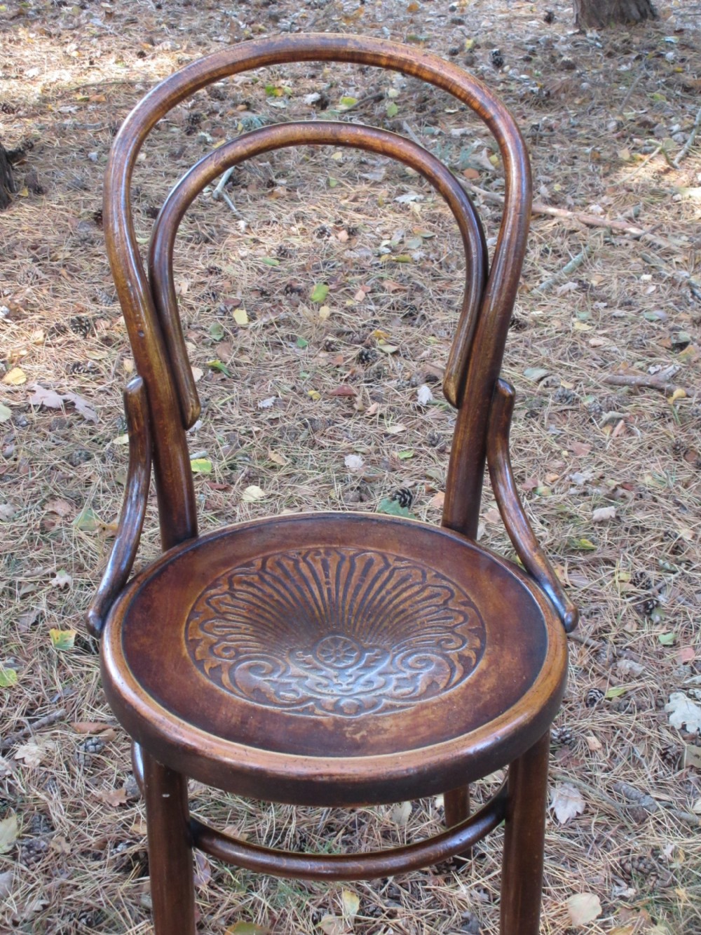 Set of Four Bentwood Chairs by Fischel, Circa 1910 View II