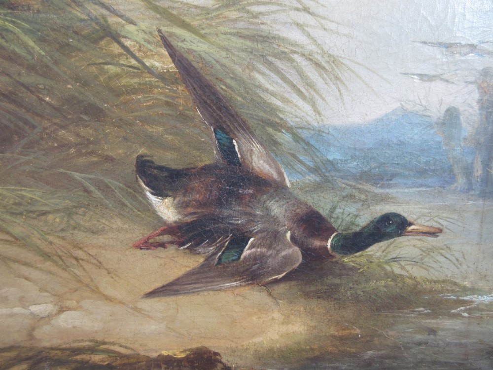 Pointer and Mild Duck by George Armfield, Circa 1840 View III
