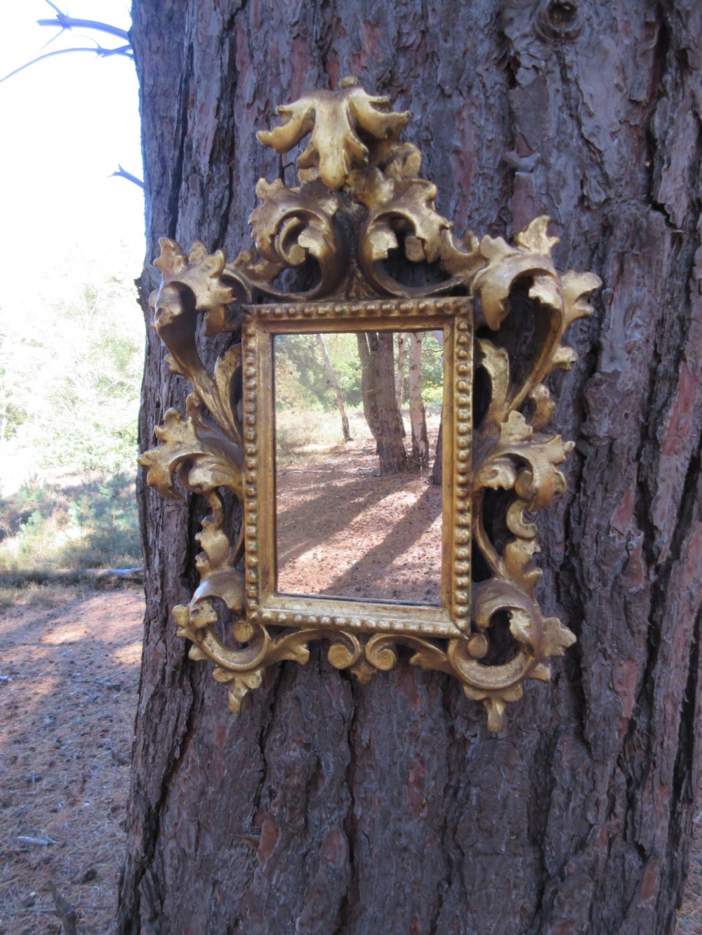 Small 19th Century Florentine Giltwood Mirror, Circa 1850