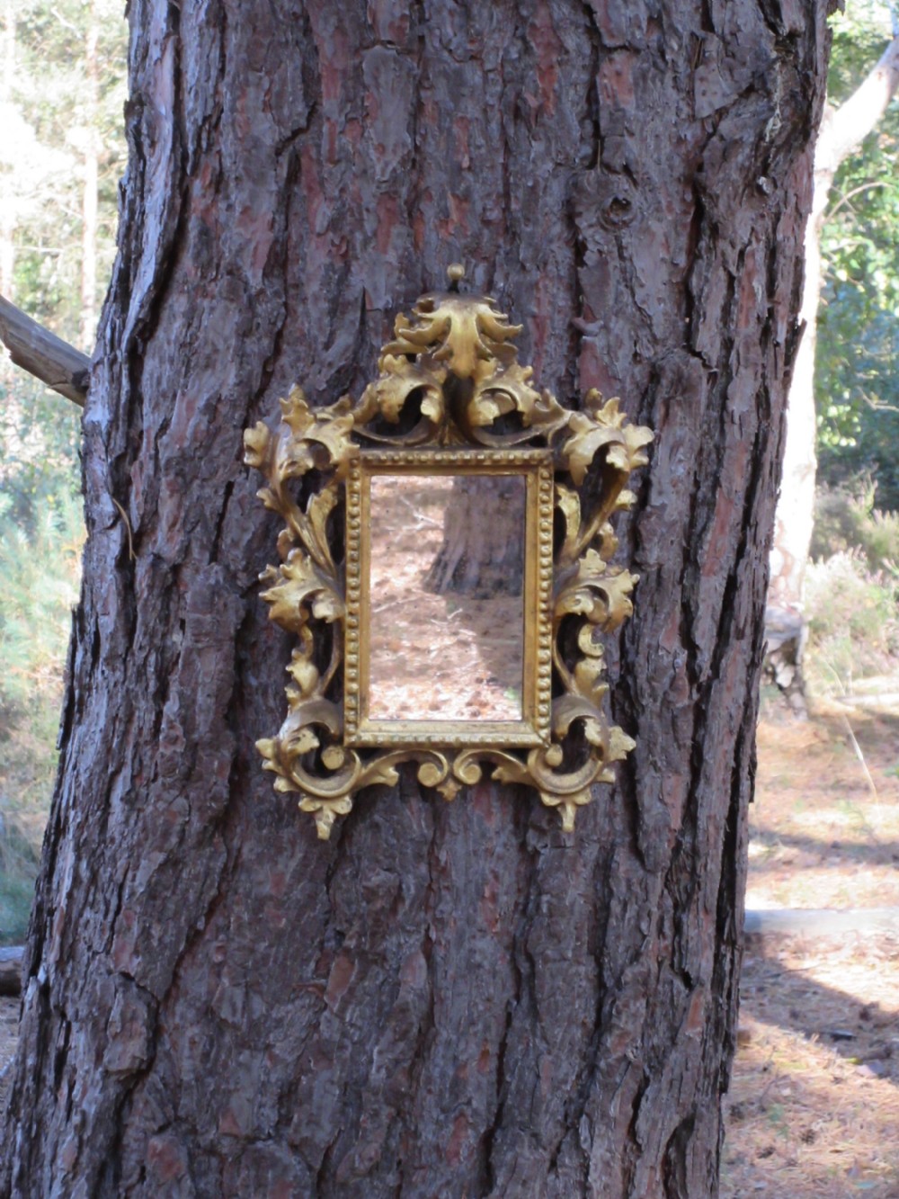 Small 19th Century Florentine Giltwood Mirror, Circa 1850 View II