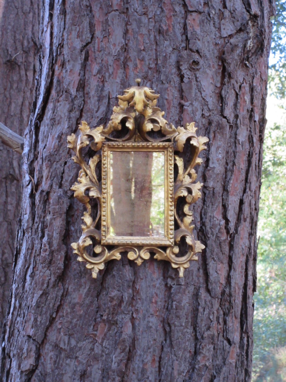 Small 19th Century Florentine Giltwood Mirror, Circa 1850 View III