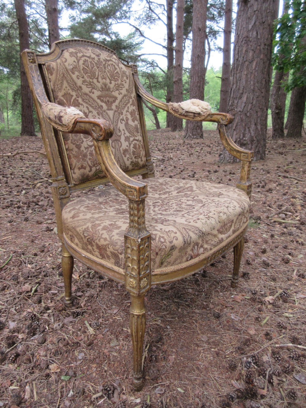George III Sheraton Giltwood Drawing Room Chair, Circa 1795 View II