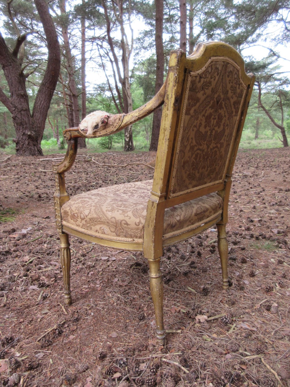 George III Sheraton Giltwood Drawing Room Chair, Circa 1795 View III