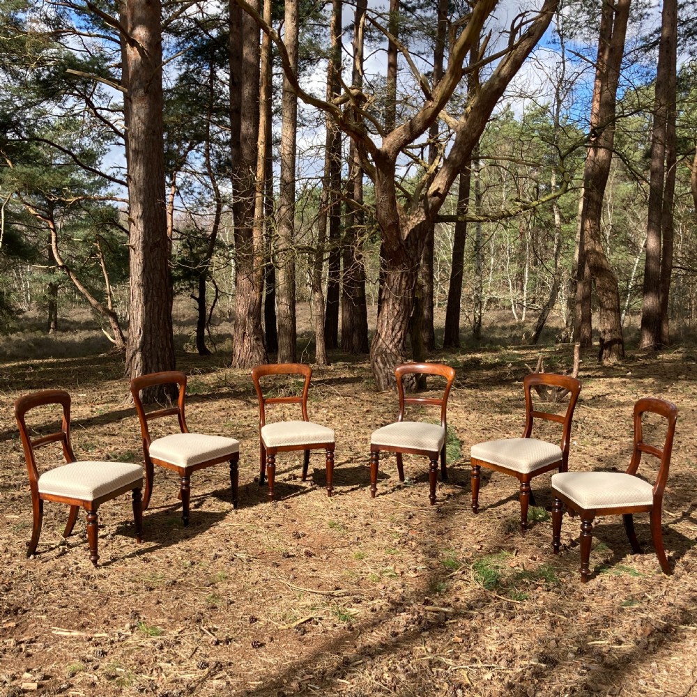 Set Of 6 Mahogany William IV Dining Chairs, Circa 1840