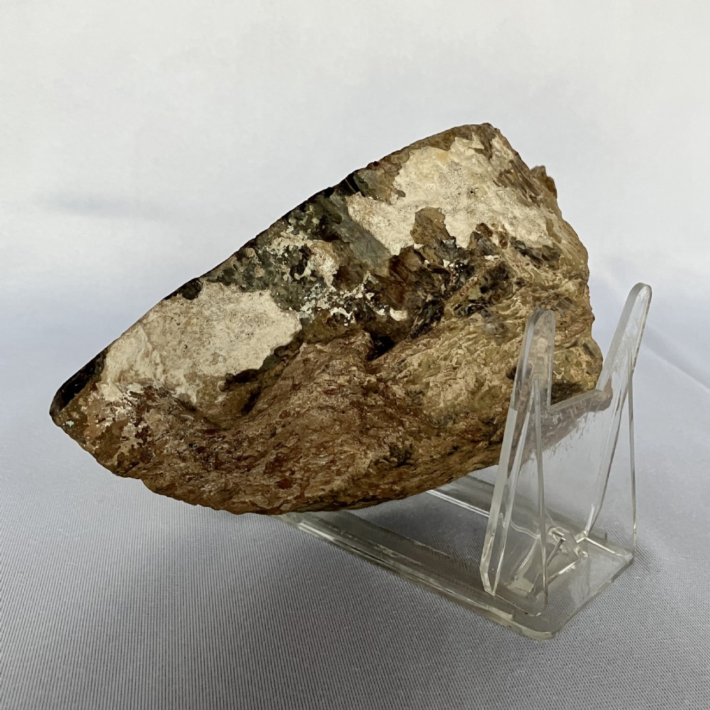 A polished section of dark brown and beige petrified wood displaying natural growth rings, mounted upright on a clear acrylic stand. View III