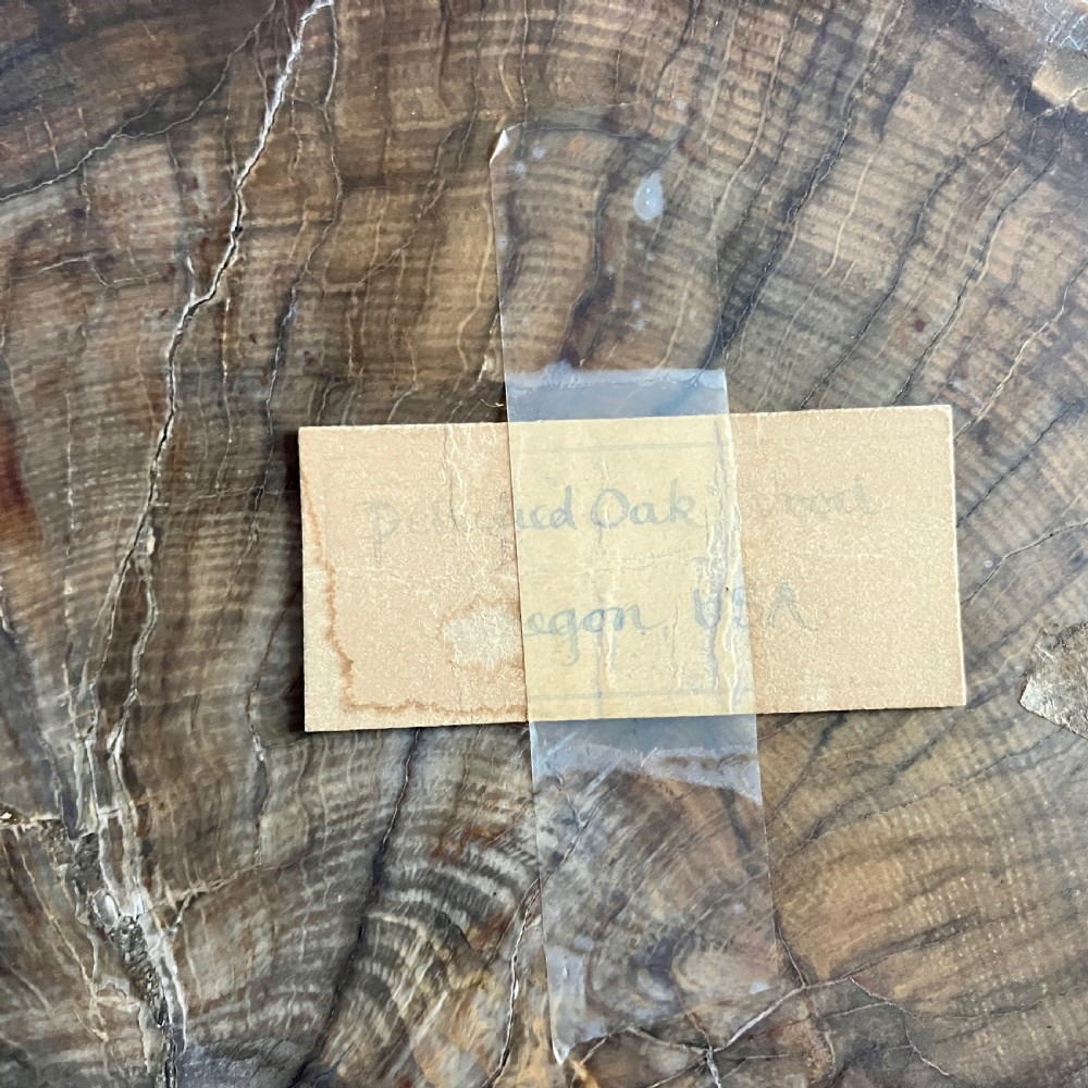 A Large Fossilised Or Petrified Wood Specimen, Polished With Perspex Stand, Circa 120 - 240 Million Years Old View IX