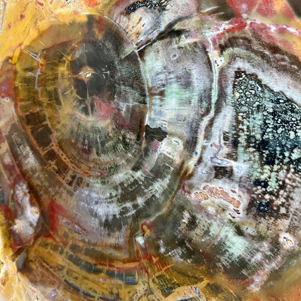 A Large Fossilised Or Petrified Wood Specimen, Polished And Mounted On A Bespoke Stand, Circa 120 - 240 Million Years Old View II