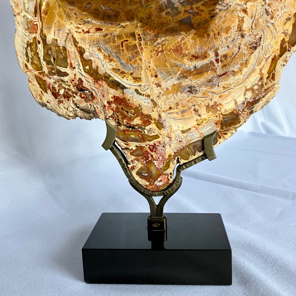A Large Fossilised Or Petrified Wood Specimen, Polished And Mounted On A Bespoke Stand, Circa 120 - 240 Million Years Old View V
