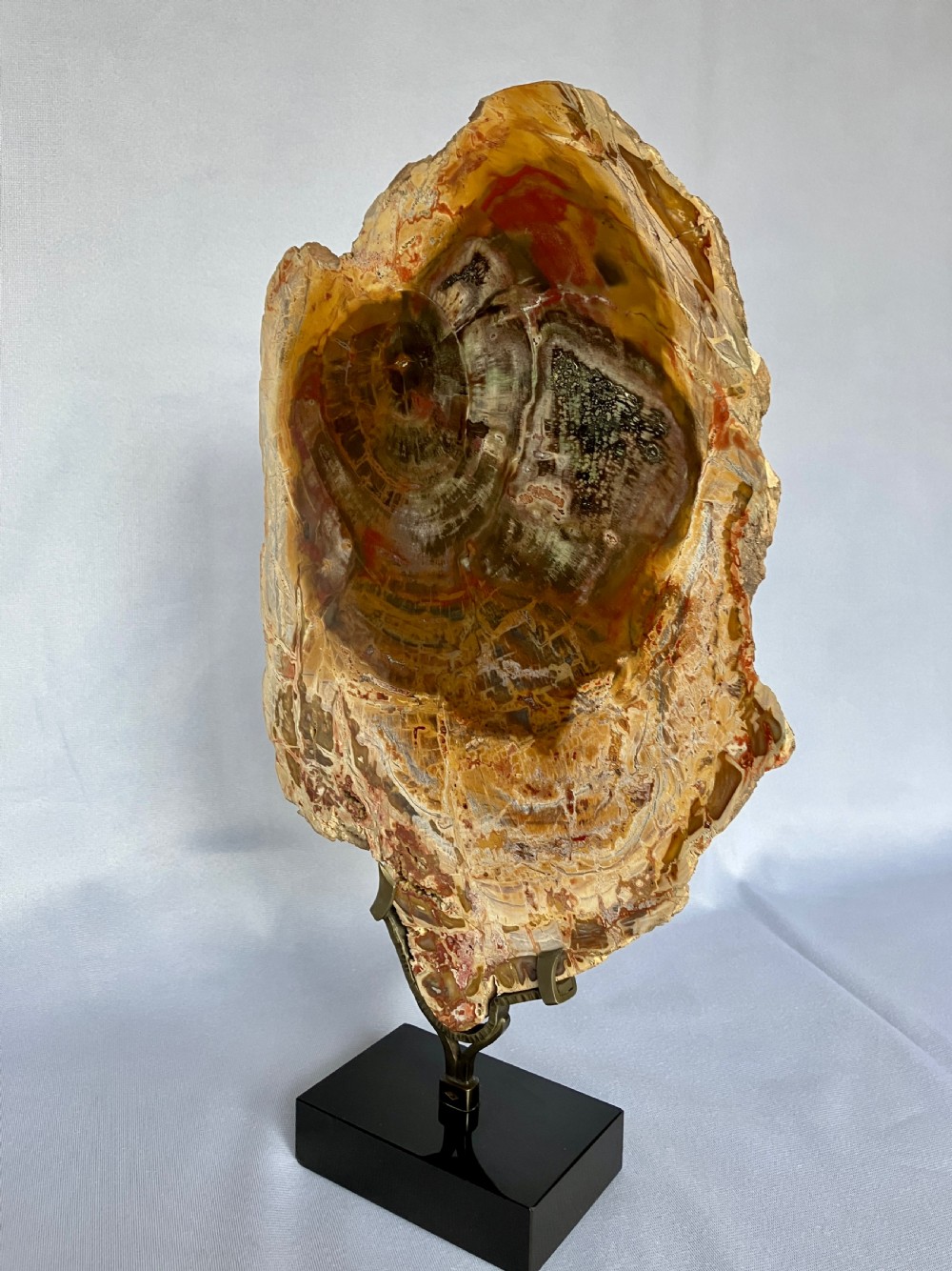 A Large Fossilised Or Petrified Wood Specimen, Polished And Mounted On A Bespoke Stand, Circa 120 - 240 Million Years Old View VI