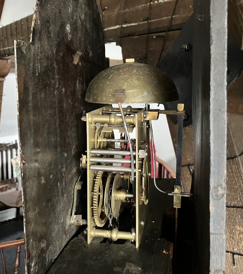 A tall Georgian oak longcase clock featuring an arched hood, a white painted dial with floral corner spandrels, and a plain timber trunk. View VII