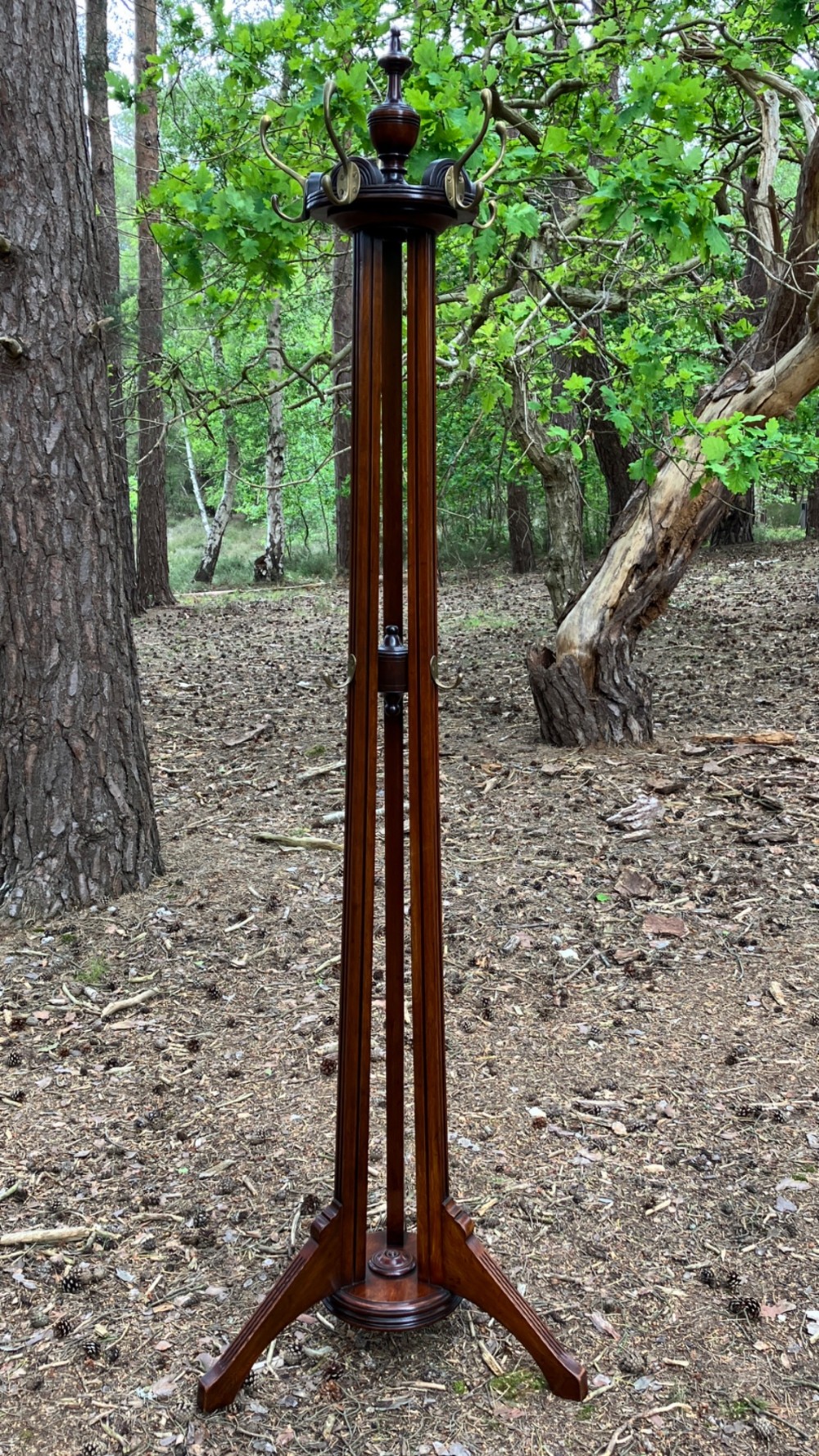 Antique Walnut Hall Stand | Coat & Hat Stand with Brass Hooks, Circa 1900