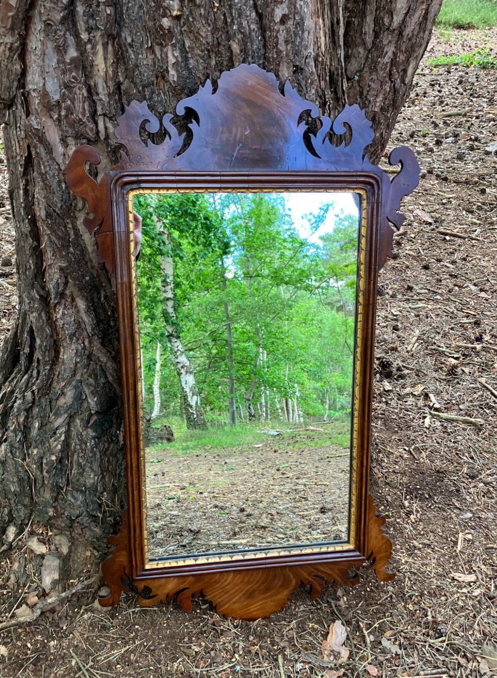 Mahogany Fretwork Mirror, Circa 1900 View II