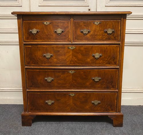 Lovely Antique Burr Walnut Chest of Drawers