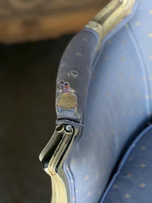 COMFORTABLE PAIR BERGERE ARM CHAIRS - ADDITIONAL PHOTO 5