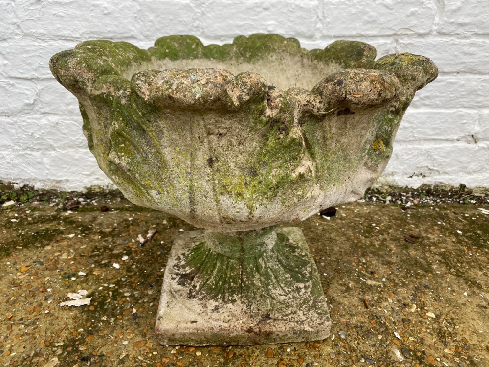 Garden Cabbage Urn