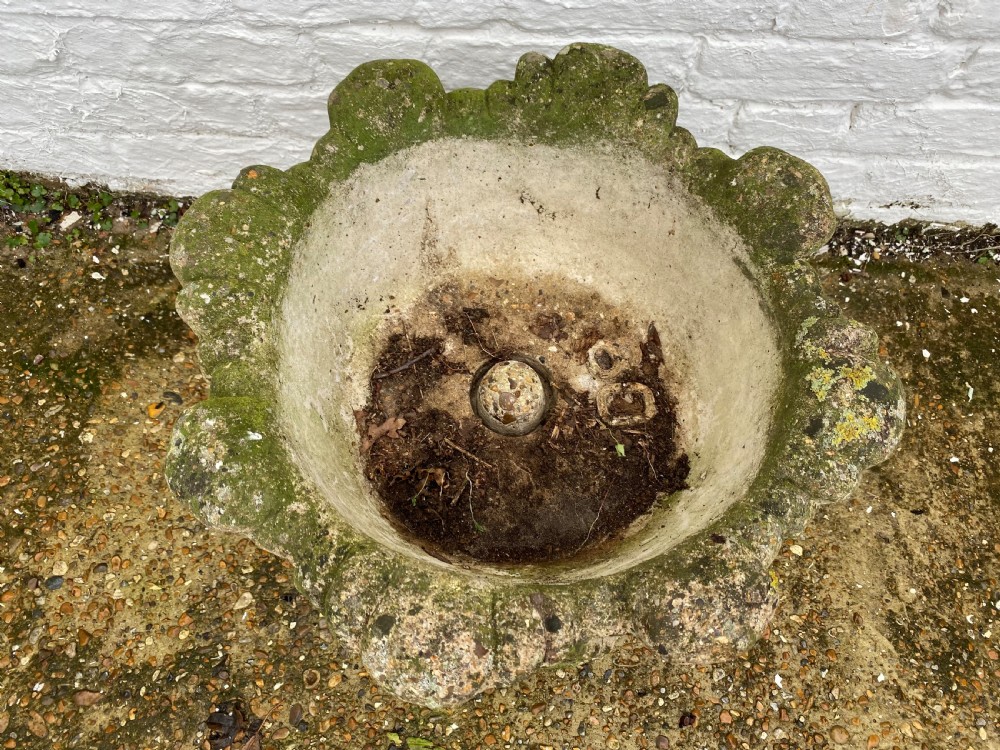 Garden Cabbage Urn View II