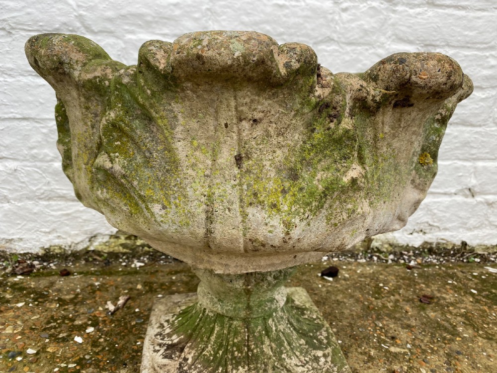 Garden Cabbage Urn View III