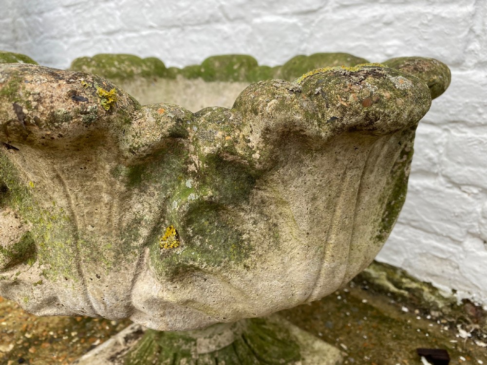 Garden Cabbage Urn View VI