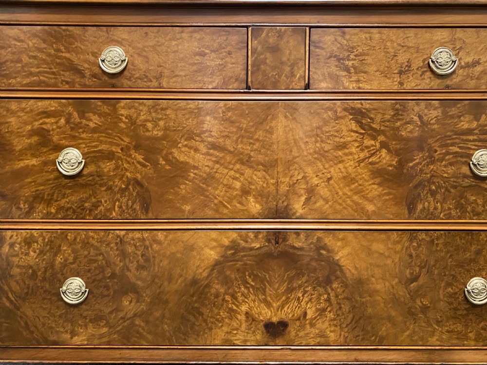 American Burr Walnut Dressing Chest View XV