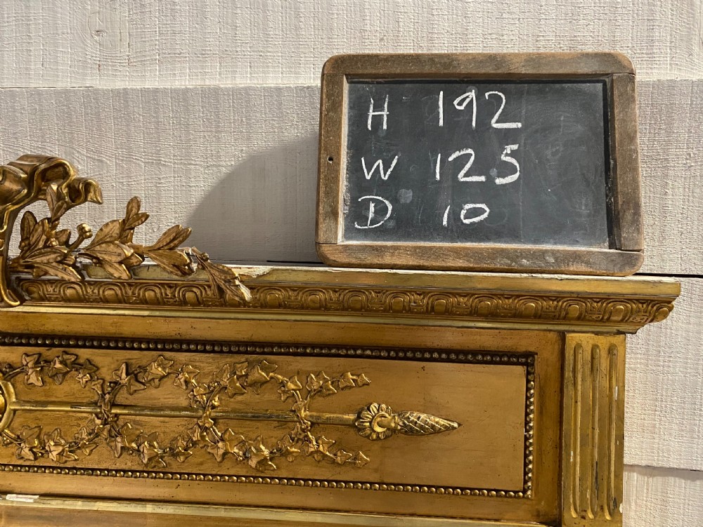 Large French Gilt Mirror View XI