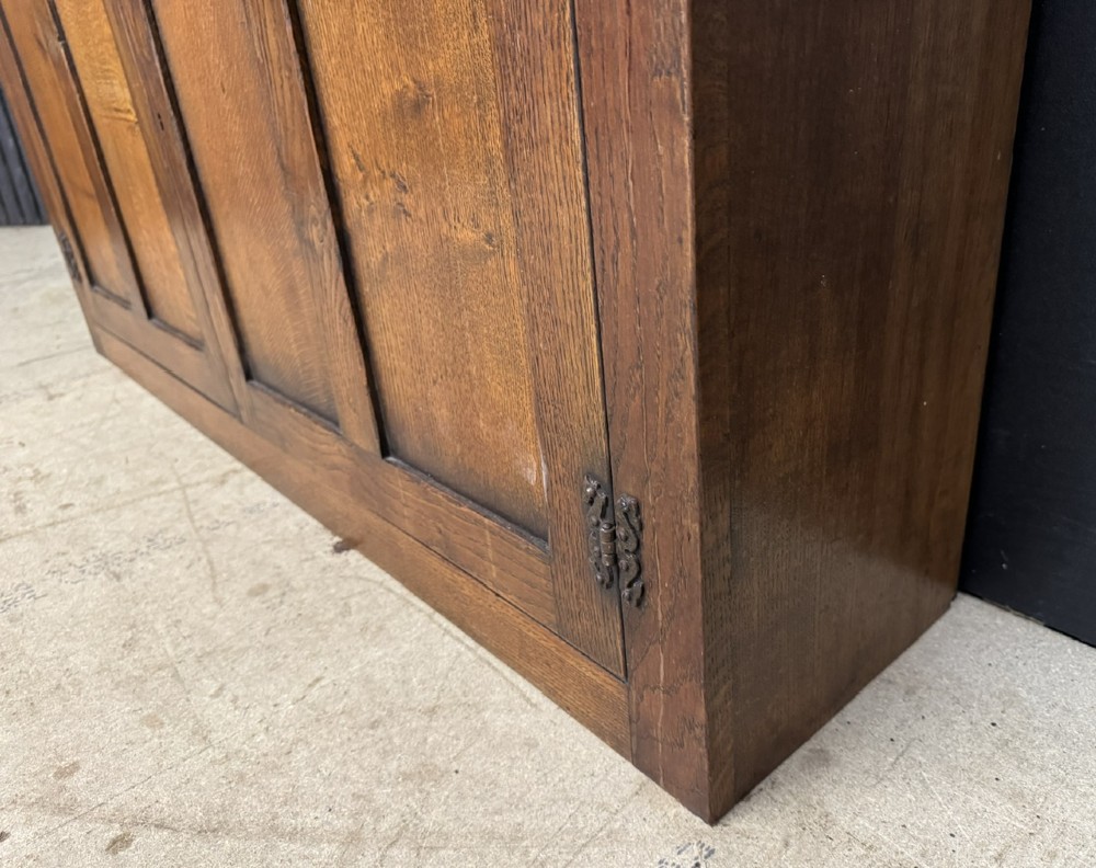 A narrow dark oak hall cupboard featuring upper carved linenfold doors and lower plain panel doors with iron hinges. View IX