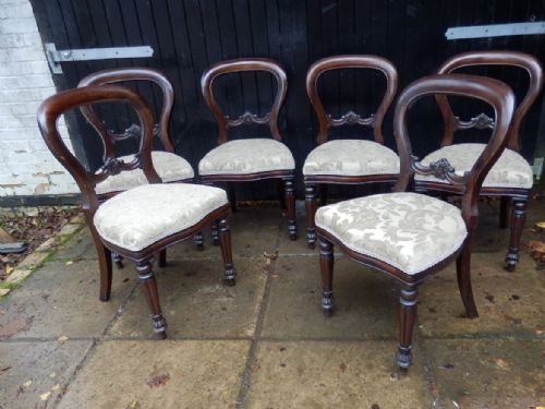 Dining Chairs, Set of 6 Balloon Backs, Mahogany, Victorian, New Upholstery.