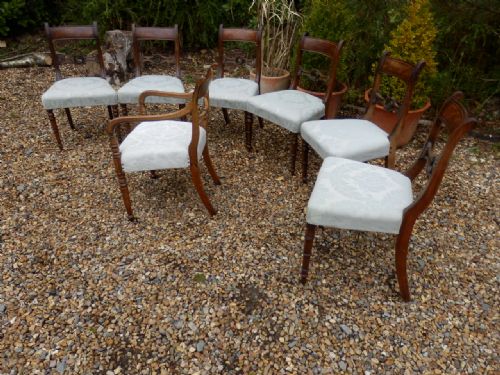 Regency Dining Chairs, 6 + 1