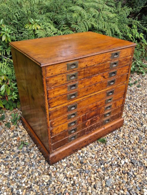 Architect's Plan Chest. Pine.
