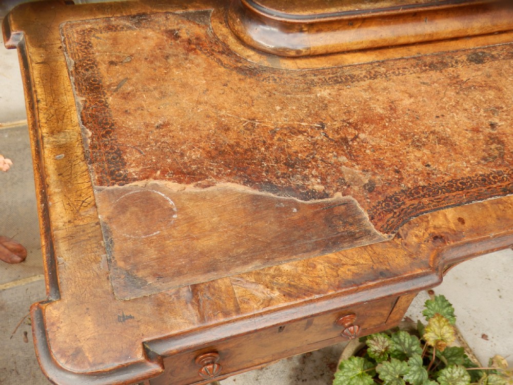 An early Victorian burr walnut writing desk featuring an inset leather writing top, carved frieze drawers, turned legs, and a raised central rear plinth. View V