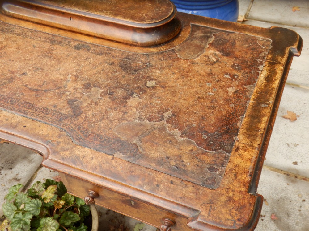 An early Victorian burr walnut writing desk featuring an inset leather writing top, carved frieze drawers, turned legs, and a raised central rear plinth. View VI
