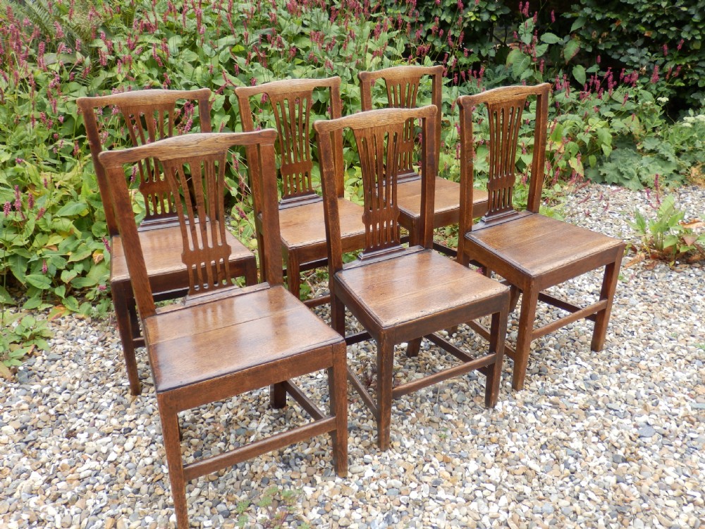 A set of six dark oak Georgian dining chairs featuring pierced vertical back splats, solid wooden seats, and straight legs connected by stretchers. View II