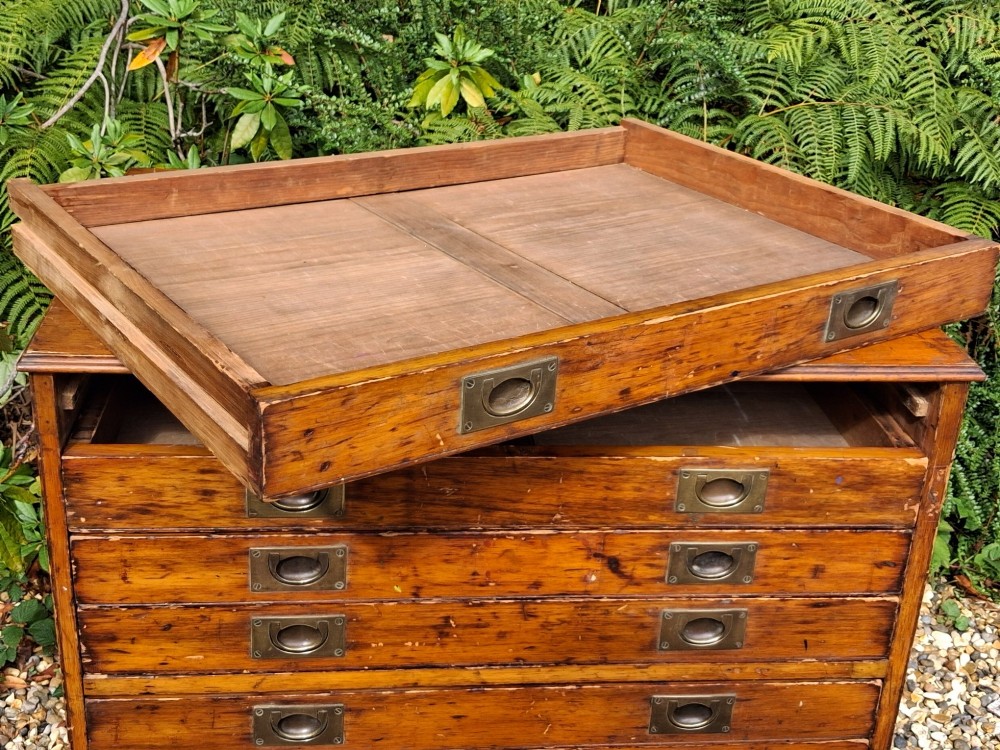 A solid pine architects plan chest featuring ten wide, shallow drawers fitted with inset brass flush pull handles. View X