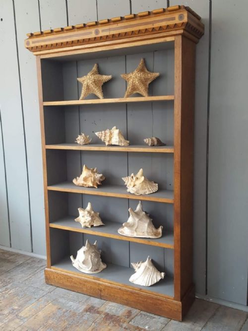 Tall Antique Oak Bookcase C1890