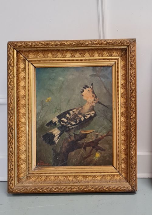 Beautiful Antique Oil Painting of Hoopoe Bird